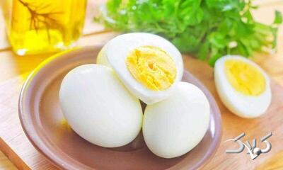 اگر هر روز تخممرغ میخورید، این مطلب را حتما بخوانید - مجله اینترنتی کولاک
