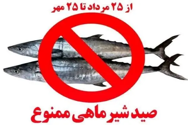  ممنوعیت دوماهه صید ماهی شیر در آب‌های استان بوشهر