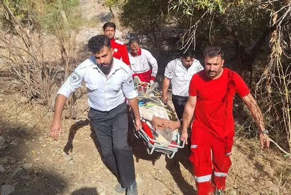  اینفوگرافیک؛ ۹۷۷ مأموریت اورژانسی برای حوادث سقوط در آذربایجان‌شرقی