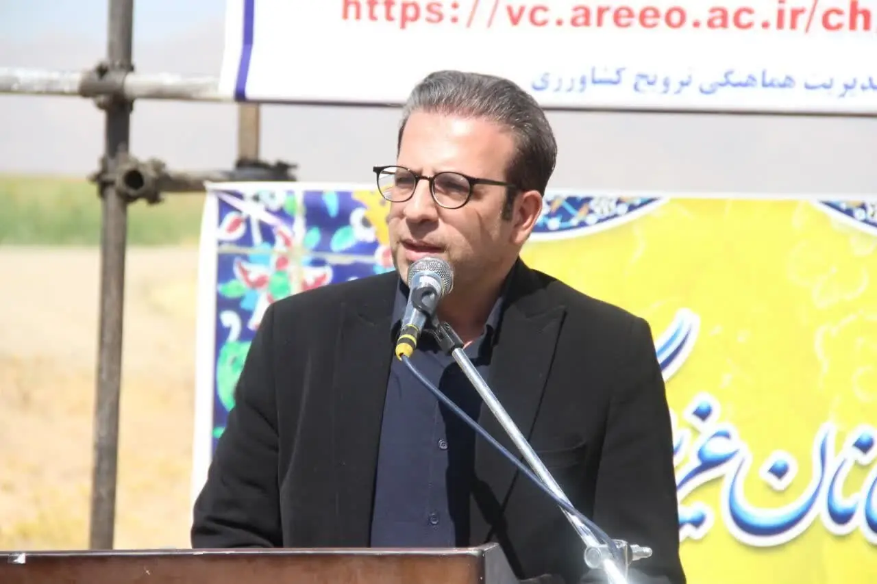 کاشت ۱۶۰ هکتار آفتابگردان در دورود برای نخستینبار