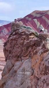 فیلم از قلعه لک لک ها و کوه های رنگی ماهنشان زنجان
