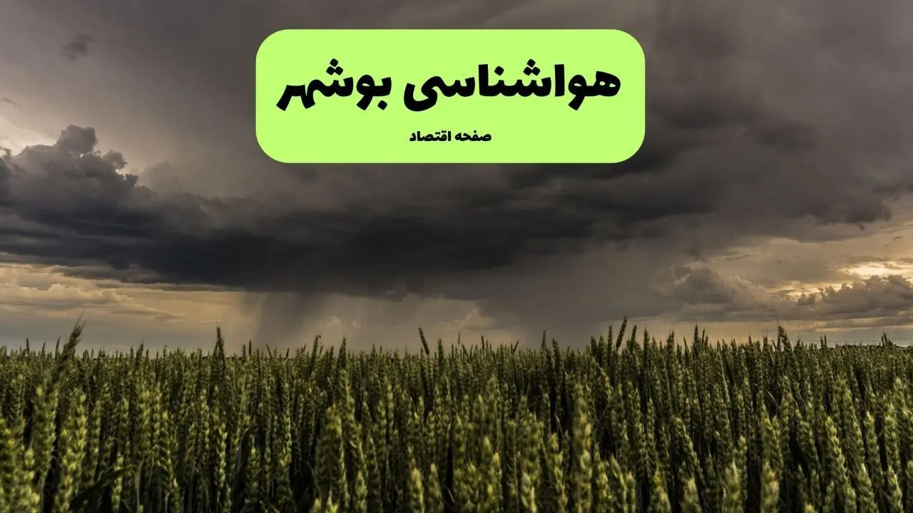 پیش بینی وضعیت آب و هوا بوشهر فردا پنجشنبه ۲۹ مرداد