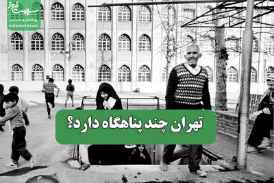تهران چند پناهگاه دارد؟