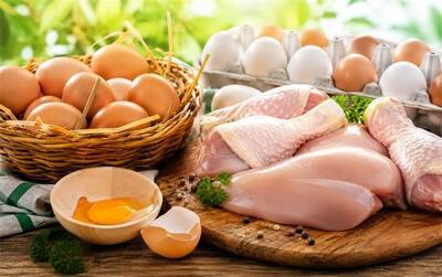 قیمت جدید مرغ و تخممرغ امروز چهارشنبه ۲۸ مرداد ۱۴۰۵؛ تخم مرغ دانهای 20 هزار تومان!