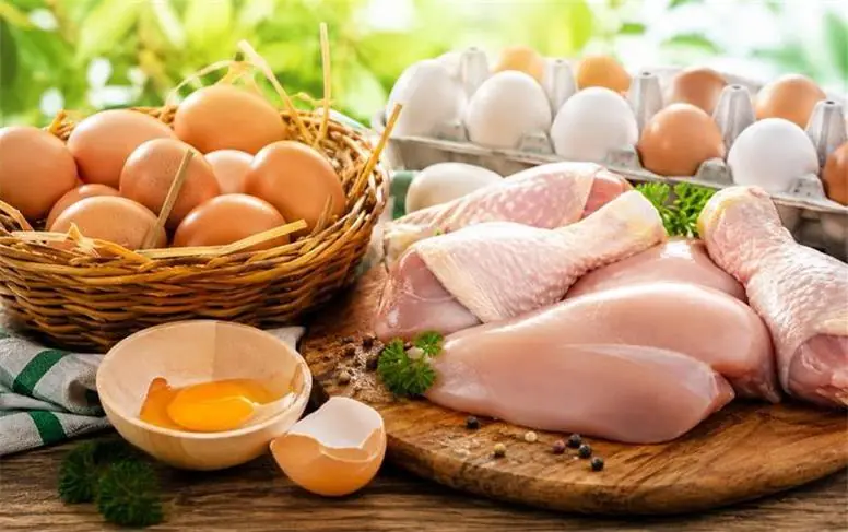  قیمت جدید مرغ و تخم‌مرغ امروز چهارشنبه ۲۸ مرداد ۱۴۰۵؛ تخم مرغ دانه‌ای 20 هزار تومان!