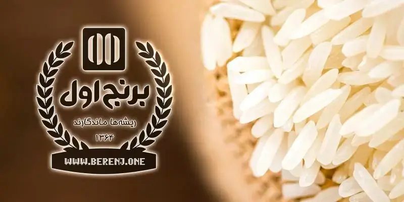 راهنمای جامع خرید عمده برنج؛ چگونه بهترین برنج را با قیمت مناسب تهیه کنیم؟