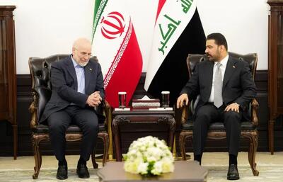 تقدیر الزیدی از حمایت ایران طی جنگ با داعش