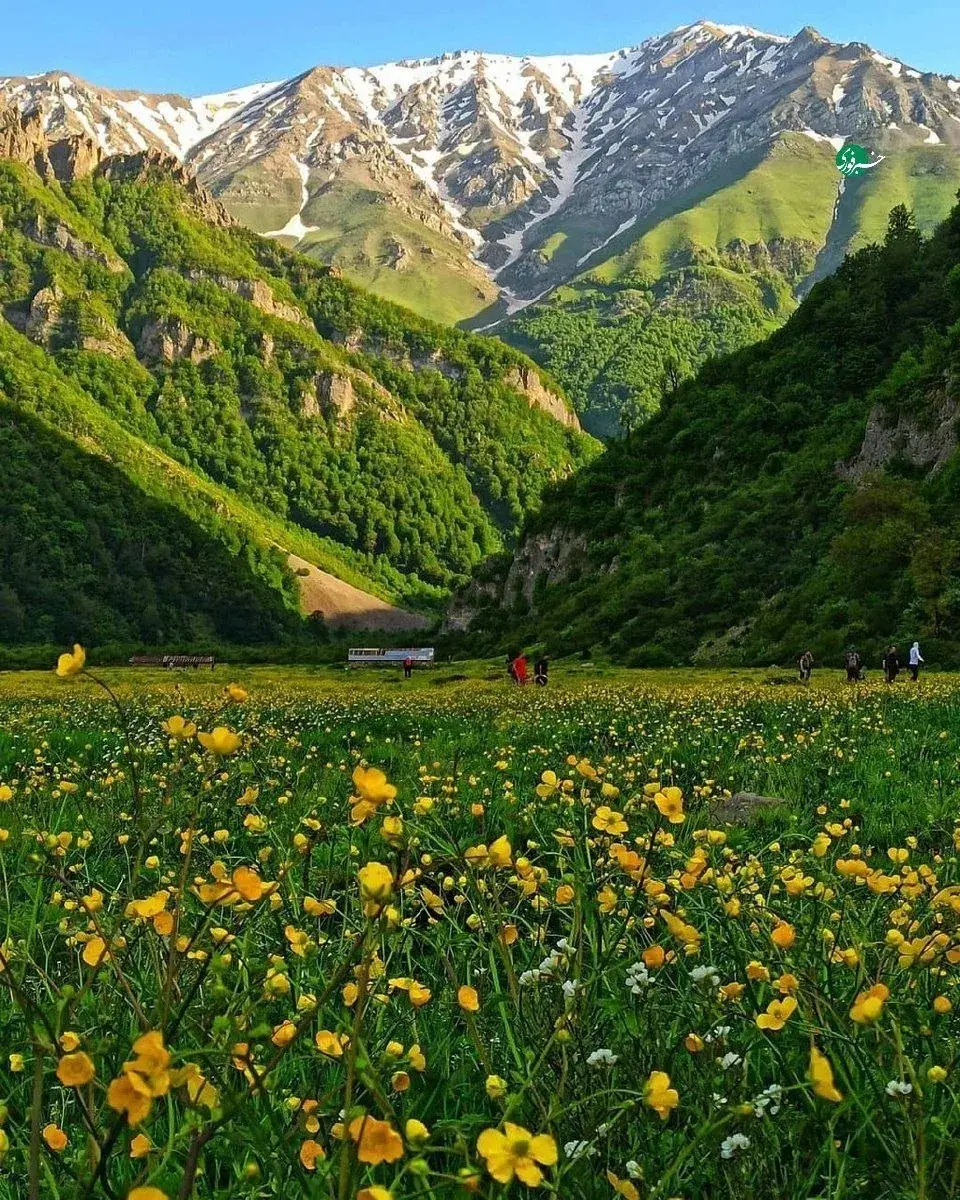  دشت دریاسر در مازندران