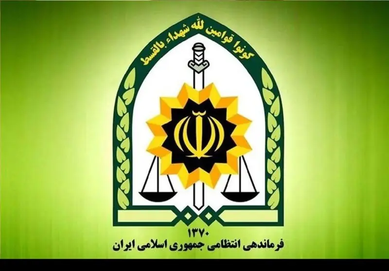 کشف زمینخواری 90 میلیاردی و دستگیری سارقان و کلاهبردار در لرستان - تسنیم
