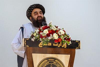 طالبان: اجازه اجرای اهداف بیگانگان را نمیدهیم - تسنیم