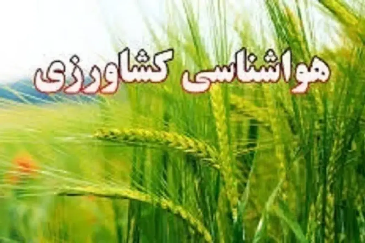 کشاورزان از آبیاری درختان در ساعات گرم روز اجتناب کنند