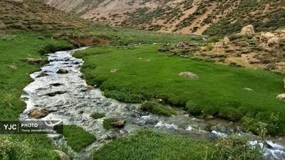 ثبت لحظههای سبز خاکدالان در قاب دوربین هنرمند چهارمحال و بختیاری