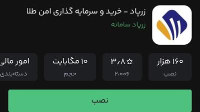 خالیفروشی ۲۰۰ هزار موردی مربوط به «زرپاد» بود؛ پلتفرمی که مدتهاست فعالیتی ندارد