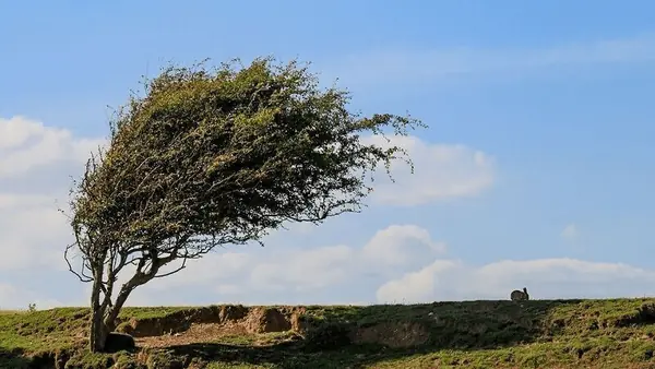 باد نسبتاً شدید در راه همدان | آخرین خبر