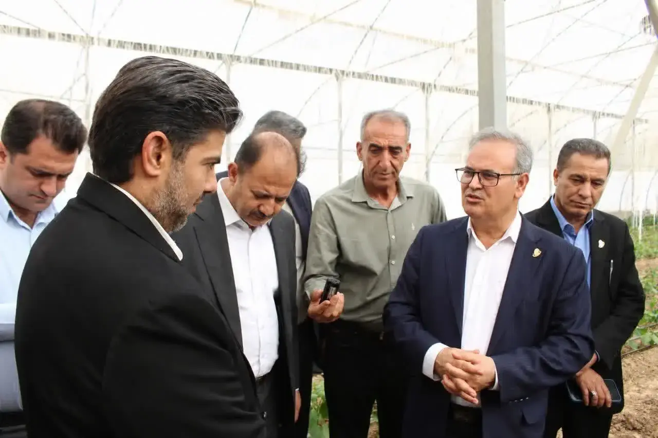  بازدید معاون وزیر و رئیس سازمان تات از مجتمع گلخانه‌ای لوتوس در فارس / زنجیره‌ای از تولید گلخانه‌ای تا بسته‌بندی و صادرات