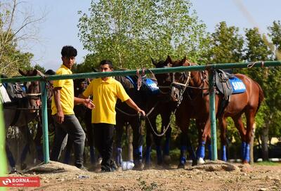 لیگ چوگان جام آذرتاش