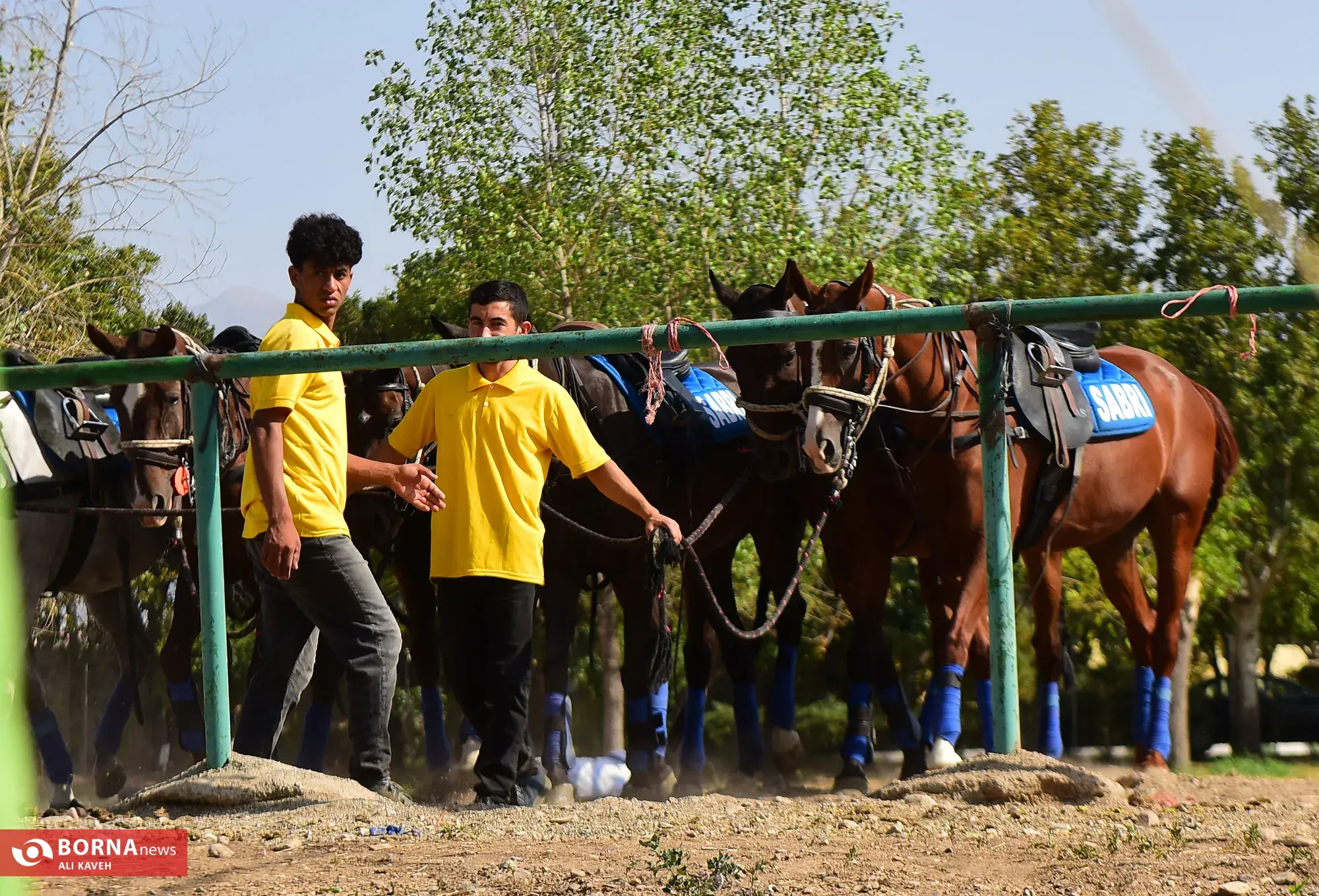  لیگ چوگان جام آذرتاش