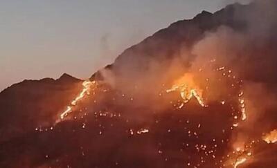 مهار آتشسوزی شاهو و کوسالان/ بیش از ۱۰ هکتار از جنگلها در آتش سوخت