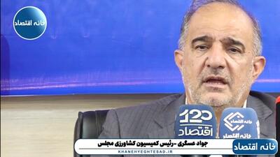  دولت هرچه سریعتر نسبت به وزرای ناکارآمد تعیین تکلیف بکند/ در وضعیت واردات نهاده‌های دامی فساد بیداد می‌کند