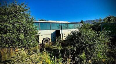 ۲۳ کشته در تصادف مرگبار مینیبوس و کامیون