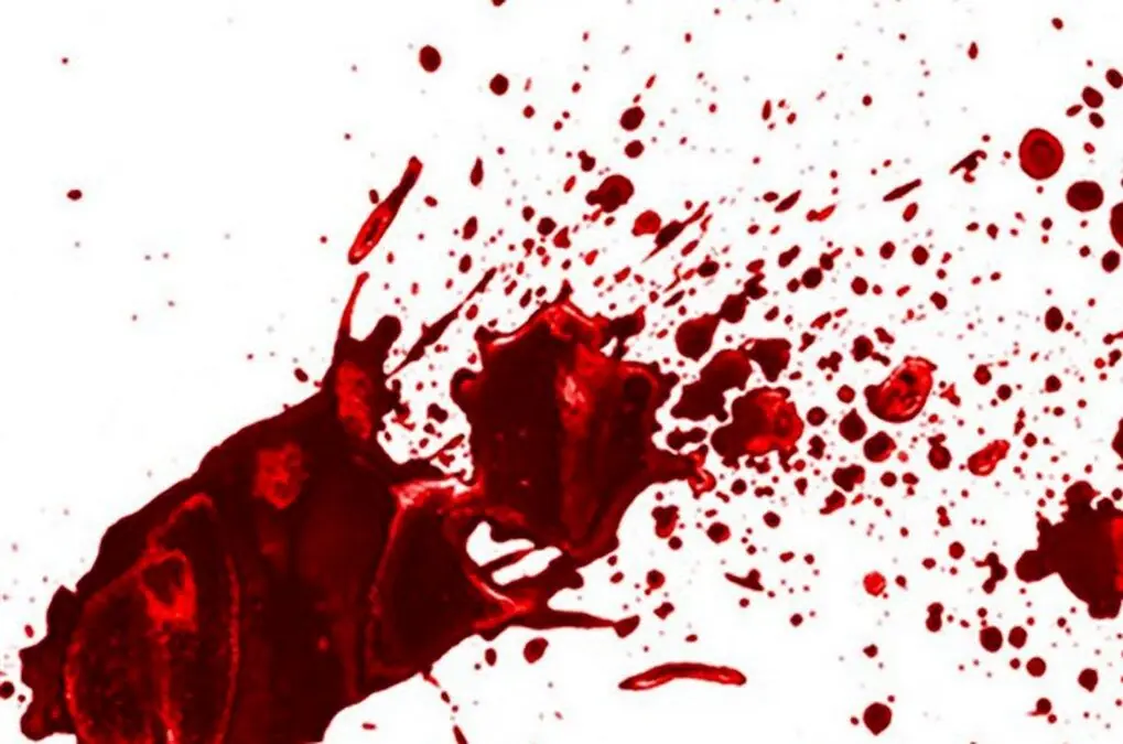 قتل در پوشش تصادف؛ راز جنایت پرند در کمتر از ۲۴ ساعت فاش شد