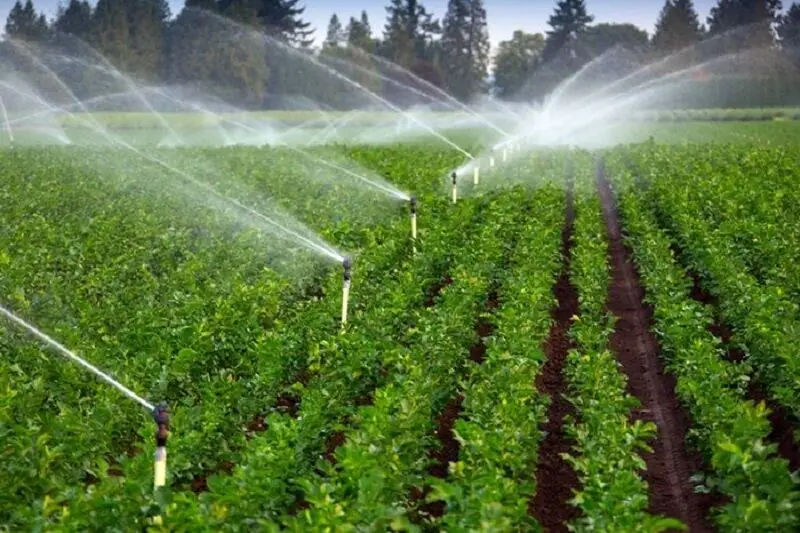 تفکیک اراضی ملی موجب افزایش سطح زمینهای کشاورزی خلخال شد