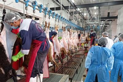 فرماندار بهار: بوی نامطبوع کشتارگاه صالحآباد به زودی مرتفع میشود