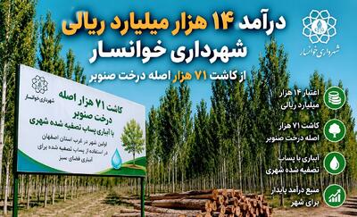 درآمد ۱۴ هزار میلیارد ریالی شهرداری خوانسار از درختان صنوبر