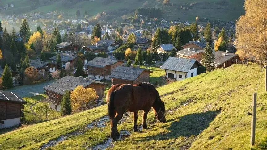 خشکسالی به کشاورزان سوئیس رسید