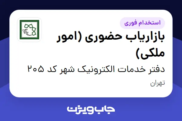  استخدام بازاریاب حضوری (امور ملکی) - خانم در دفتر خدمات الکترونیک شهر کد 205