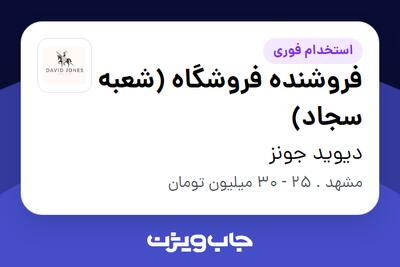  استخدام فروشنده فروشگاه (شعبه سجاد) در دیوید جونز