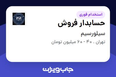  استخدام حسابدار فروش - خانم در سیلورسیم