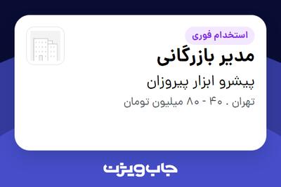  استخدام مدیر بازرگانی در پیشرو ابزار پیروزان