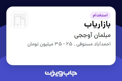  استخدام بازاریاب - آقا در مبلمان آوججی