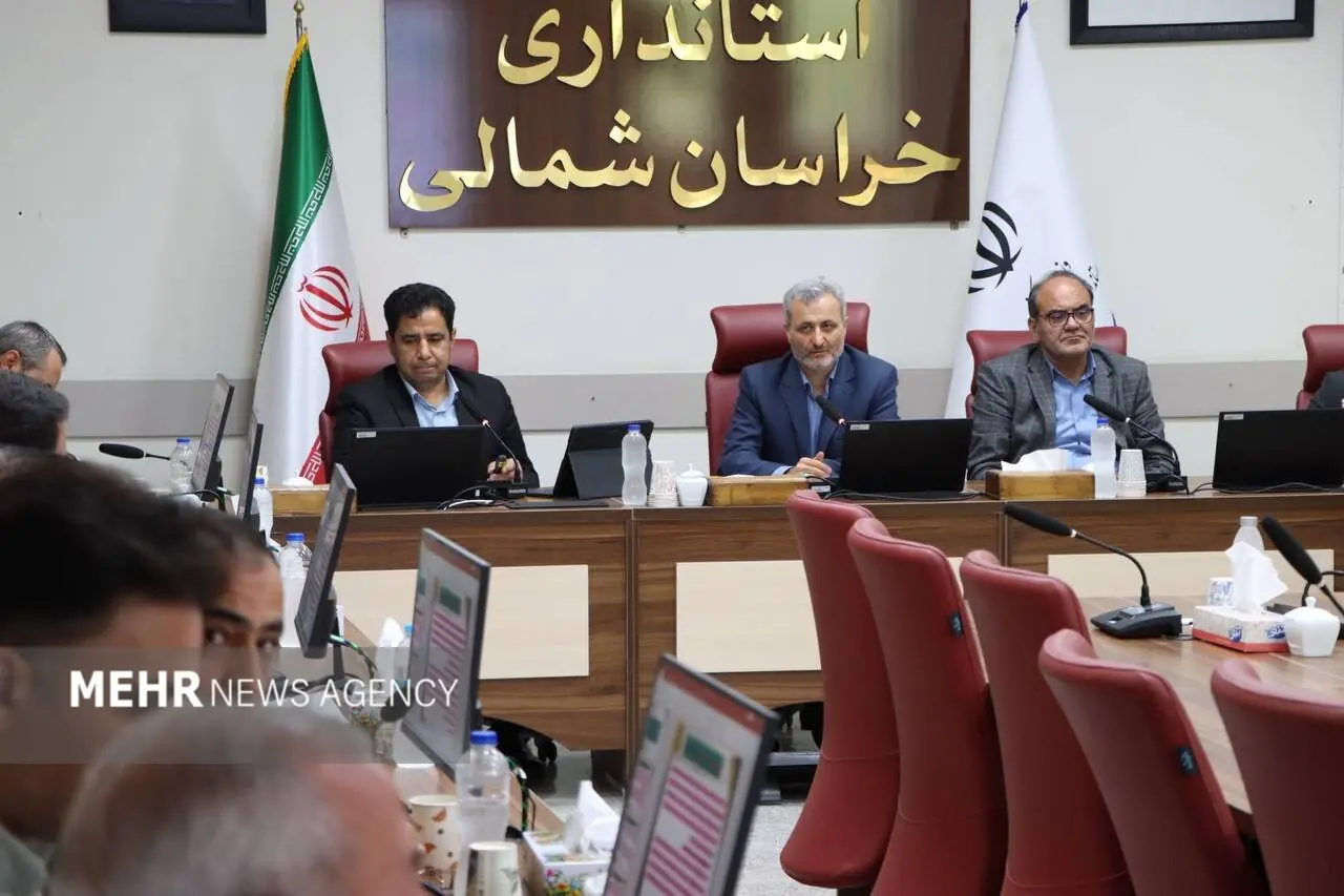 صالحی: مدیریت مصرف منابع ضامن پایداری اقتصادی است