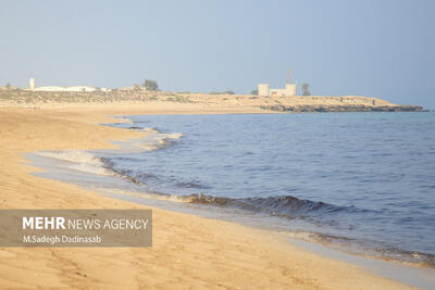 عملیات پاکسازی آلودگی نفتی در سواحل قشم انجام شد