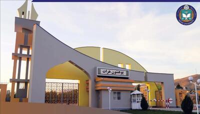 فروپاشی سیستماتیک آموزش عالی در افغانستان؛ استعفای نیمی از کادر دانشکده طب هرات و زنگ خطر ظهور نسلی بیسواد و محروم از خدمات سلامت/گزارش شفقنا افغانستان