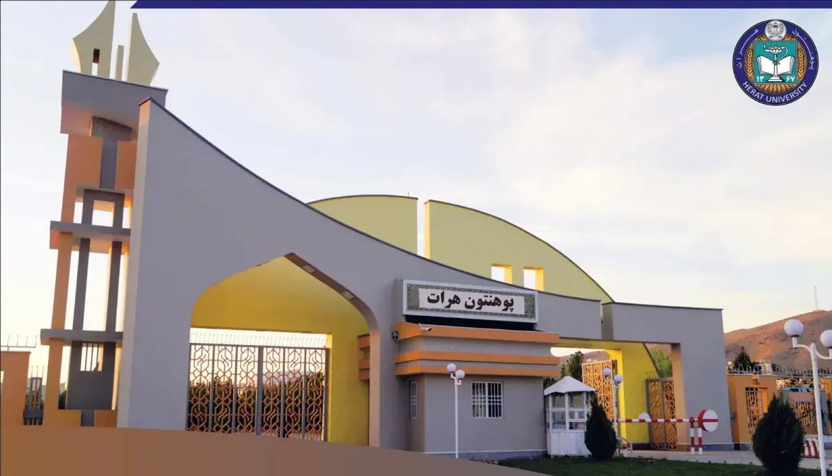 فروپاشی سیستماتیک آموزش عالی در افغانستان؛ استعفای نیمی از کادر دانشکده طب هرات و زنگ خطر ظهور نسلی بیسواد و محروم از خدمات سلامت/گزارش شفقنا افغانستان