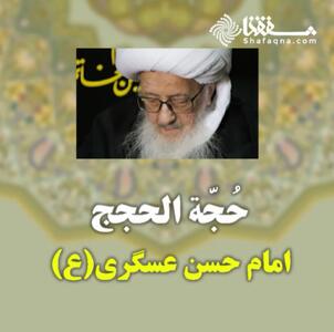  حجه الحجج امام حسن عسکری(ع)