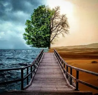 چرا بعضی گناهان از آنچه تصور میکنیم خطرناکترند؟
