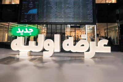 بزرگترین عرضهاولیه تاریخ بورس تهران به زودی به بازار میآید | «شستا» تکرار میشود؟