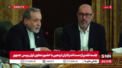 عراقچی: وزارت خارجه با ۶۰ نیرو و ۲۵ ایستگاه در عراق به زائران اربعین خدمترسانی کرد