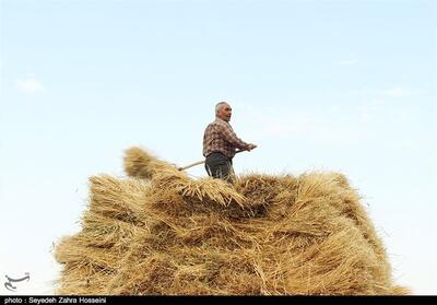 جمعآوری 81 میلیارد تومان زکات در زنجان - تسنیم