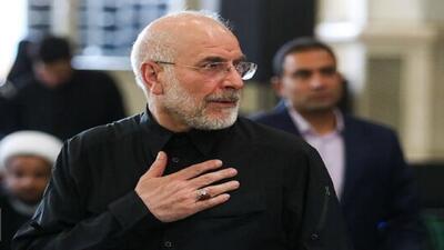  رئیس مجلس به کربلا رسید