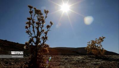 گرما در ایلام عقبنشینی نمیکند | آخرین خبر