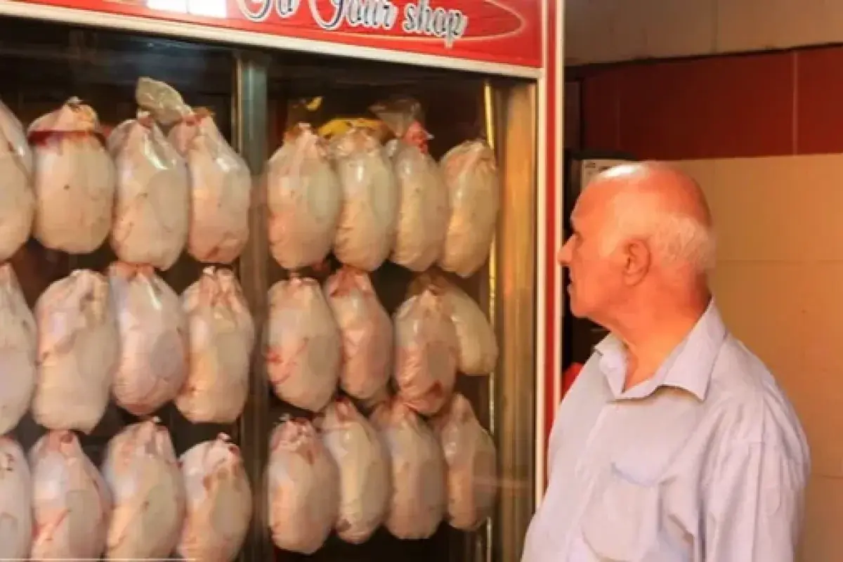  بی نیازی بازار به واردات گوشت مرغ؛ چرا بازار ایران دیگر به مرغ وارداتی نیاز ندارد؟ / واردات گوشت مرغ متوقف می‌شود؟ بررسی وضعیت تولید و تامین گوشت مرغ در بازار ایران / بازار گوشت مرغ بدون واردات؛ جزئیات افزایش تولید داخلی و بی نیازی بازار به گوشت مرغ وارداتی