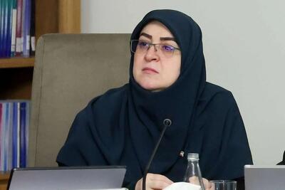 مهاجرانی درباره بنزین ۸۰ هزار تومانی توضیح داد / سخنگوی دولت: هنوز هیچ قیمت جدیدی برای بنزین تصویب نشده است / جزئیات آخرین تصمیم دولت