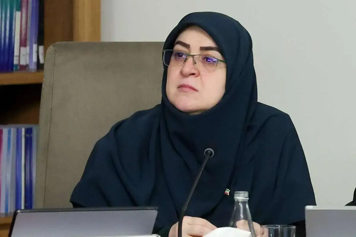 مهاجرانی درباره بنزین ۸۰ هزار تومانی توضیح داد / سخنگوی دولت: هنوز هیچ قیمت جدیدی برای بنزین تصویب نشده است / جزئیات آخرین تصمیم دولت