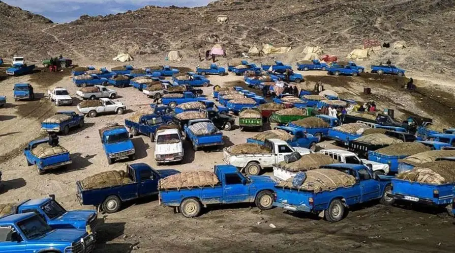 انهدام ۶ کیلومتر خط لوله انتقال سوخت قاچاق در هرمزگان