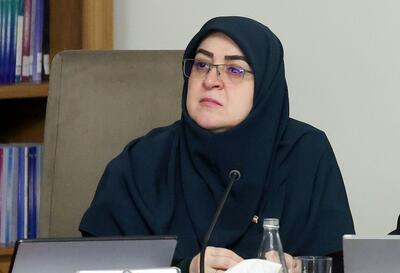 توضیح مهاجرانی در مورد قیمت ۸۰ هزار تومانی بنزین